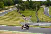 Middle 2 Group Orange Bikes